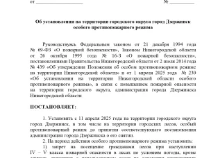 Особый противопожарный режим на территории Нижегородской области  и г.о.г. Дзержинск.